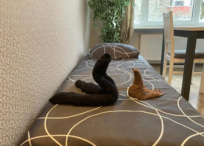 Apartament Find For The Traveler